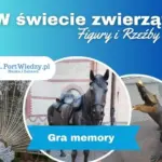 pw memory swiat zwierzat | PortWiedzy.pl