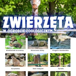 Zwierzęta w ZOO – Plansza edukacyjna cz.1