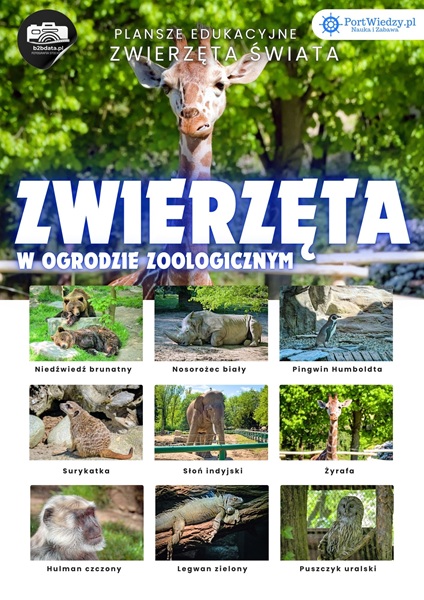 Zwierzeta w ZOO plansza edukacyjna 1 | PortWiedzy.pl