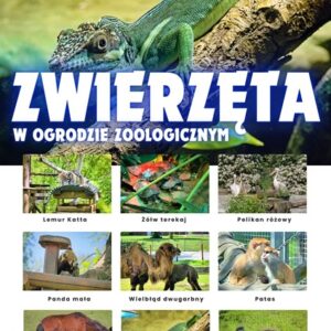 Zwierzęta w ZOO – Plansza edukacyjna cz.2