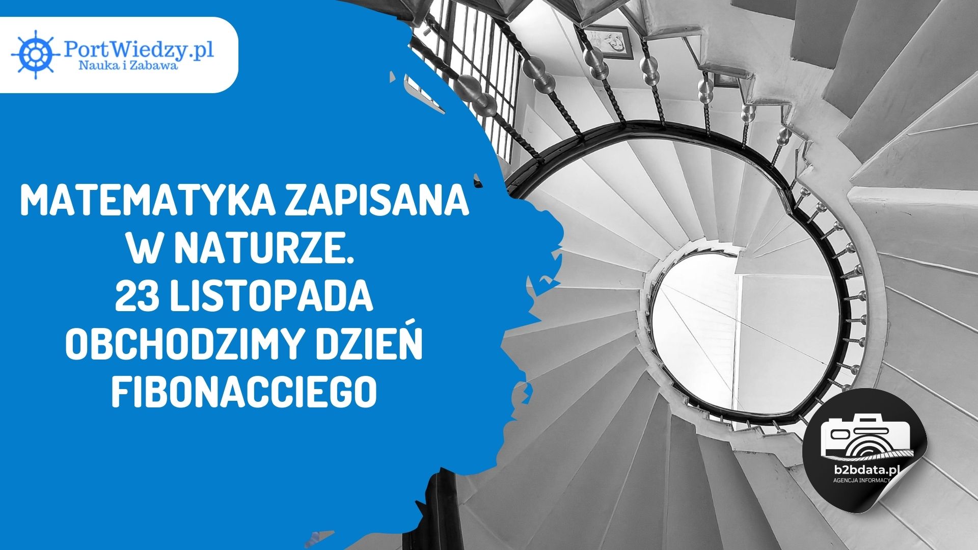 Read more about the article Matematyka zapisana w naturze. 23 listopada obchodzimy Dzień Fibonacciego