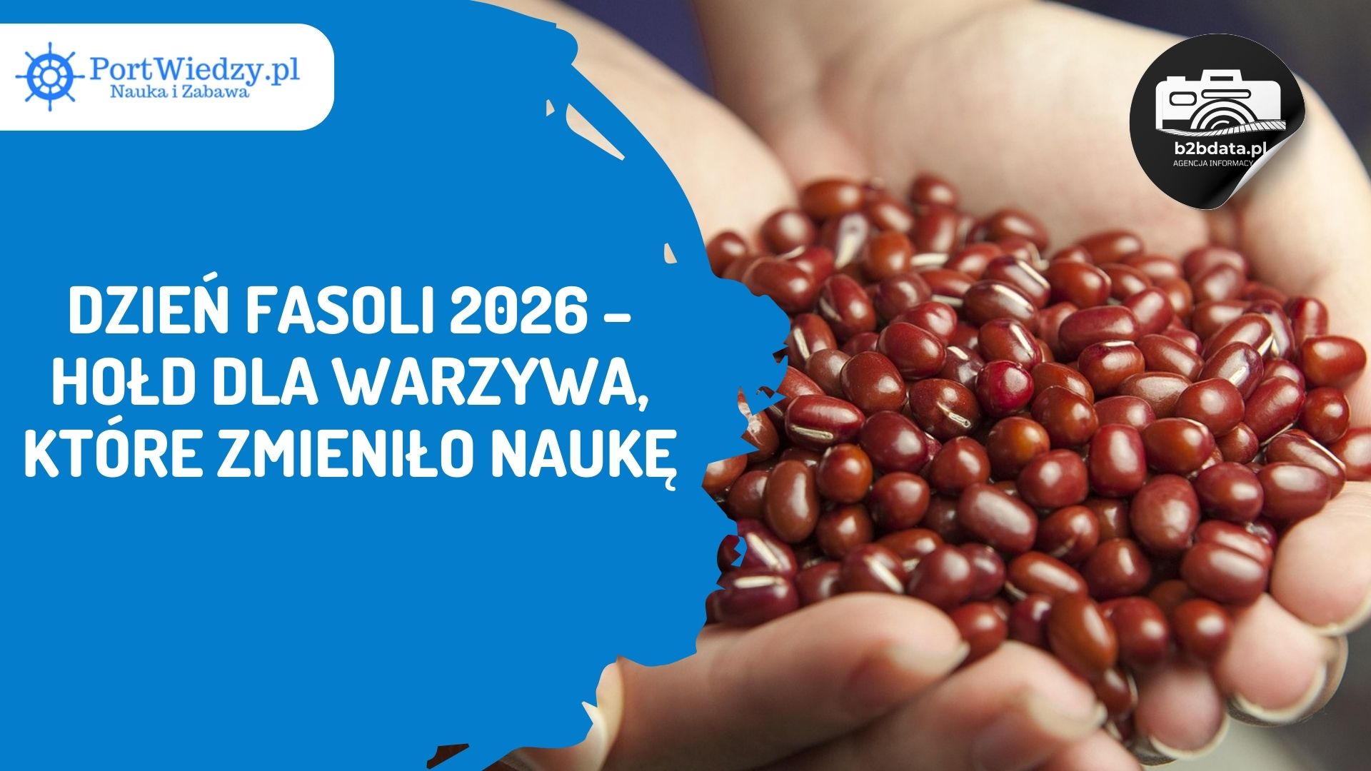 Read more about the article Dzień Fasoli 2026 – hołd dla warzywa, które zmieniło naukę