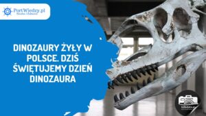 Read more about the article Dinozaury żyły w Polsce. Dziś świętujemy Dzień Dinozaura