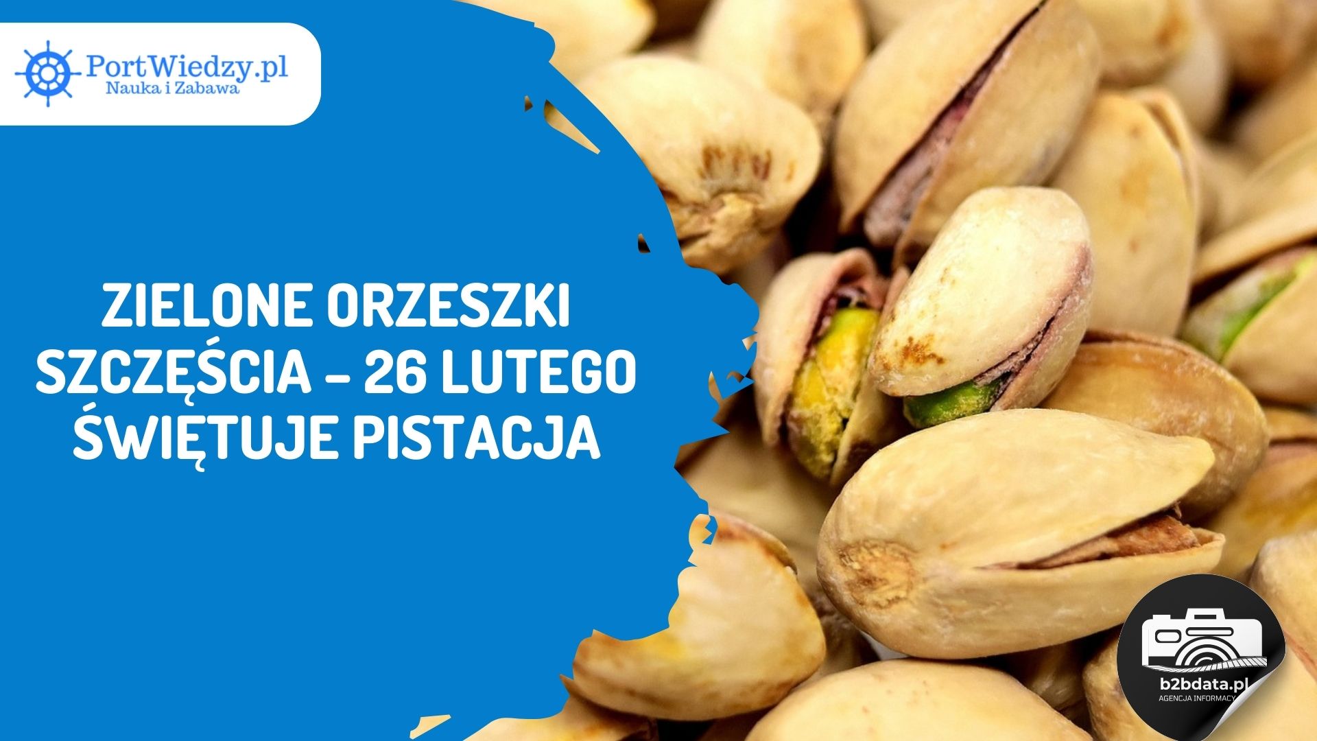 Read more about the article Zielone orzeszki szczęścia – 26 lutego świętuje pistacja
