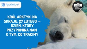 Read more about the article Król Arktyki na skraju. 27 lutego — Dzień, który przypomina nam o tym, co tracimy