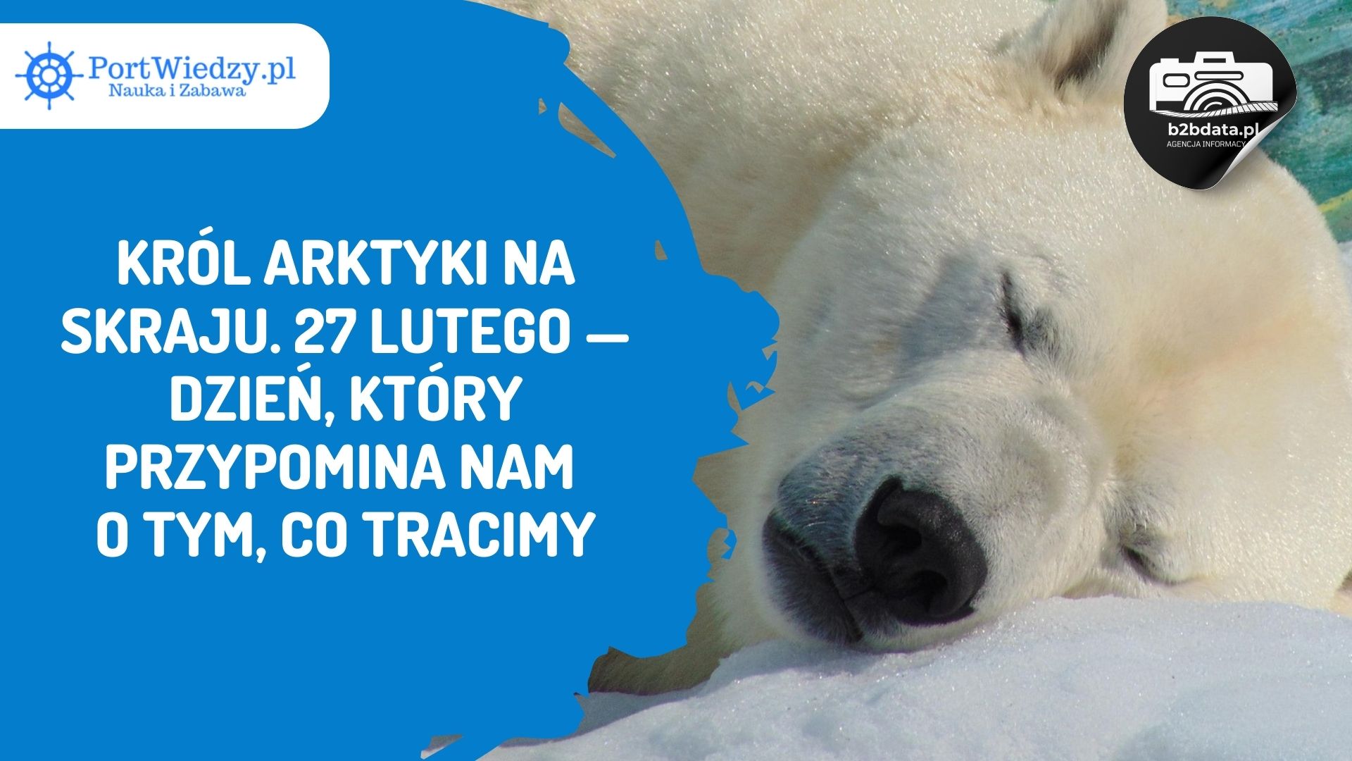 Read more about the article Król Arktyki na skraju. 27 lutego — Dzień, który przypomina nam o tym, co tracimy