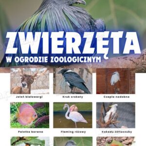 Zwierzęta w ZOO – Plansza edukacyjna cz.3
