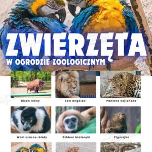 Zwierzęta w ZOO – Plansza edukacyjna cz.4