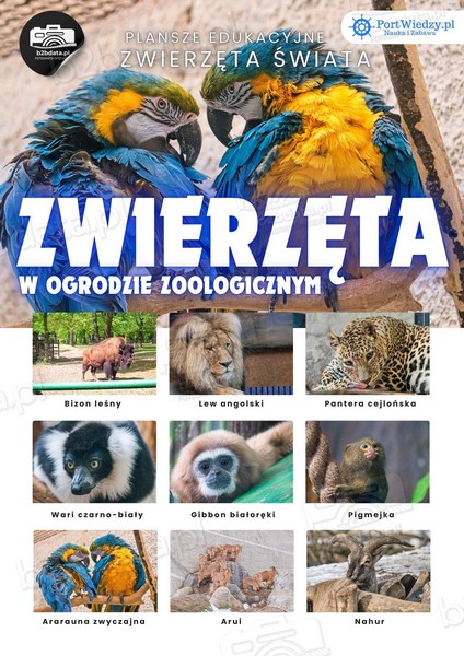Zwierzeta w ZOO – Plansza edukacyjna cz.4 | PortWiedzy.pl