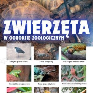 Zwierzęta w ZOO – Plansza edukacyjna cz.5