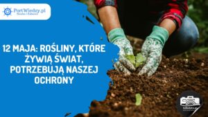 Read more about the article 12 maja: Rośliny, które żywią świat, potrzebują naszej ochrony