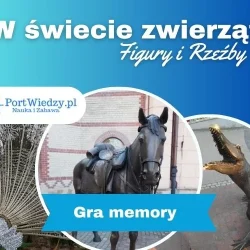 pw_memory_swiat_zwierzat
